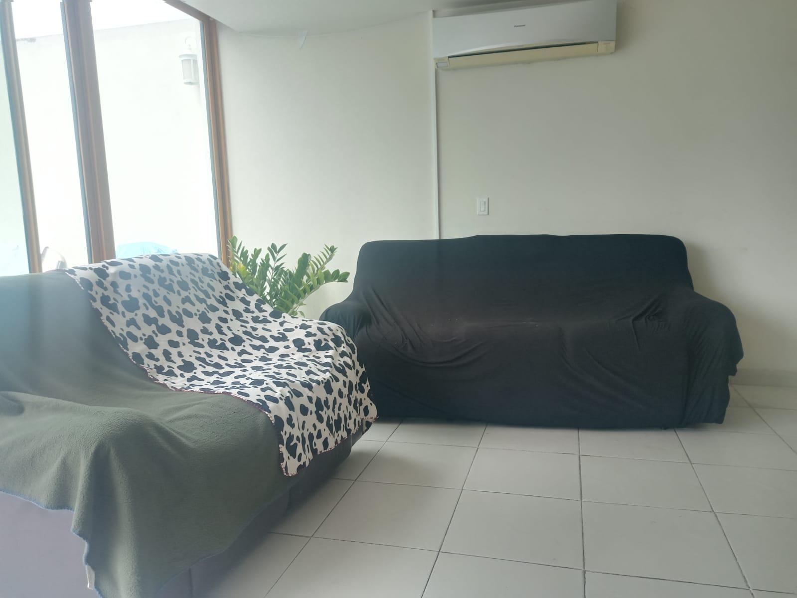 Gallery image 11