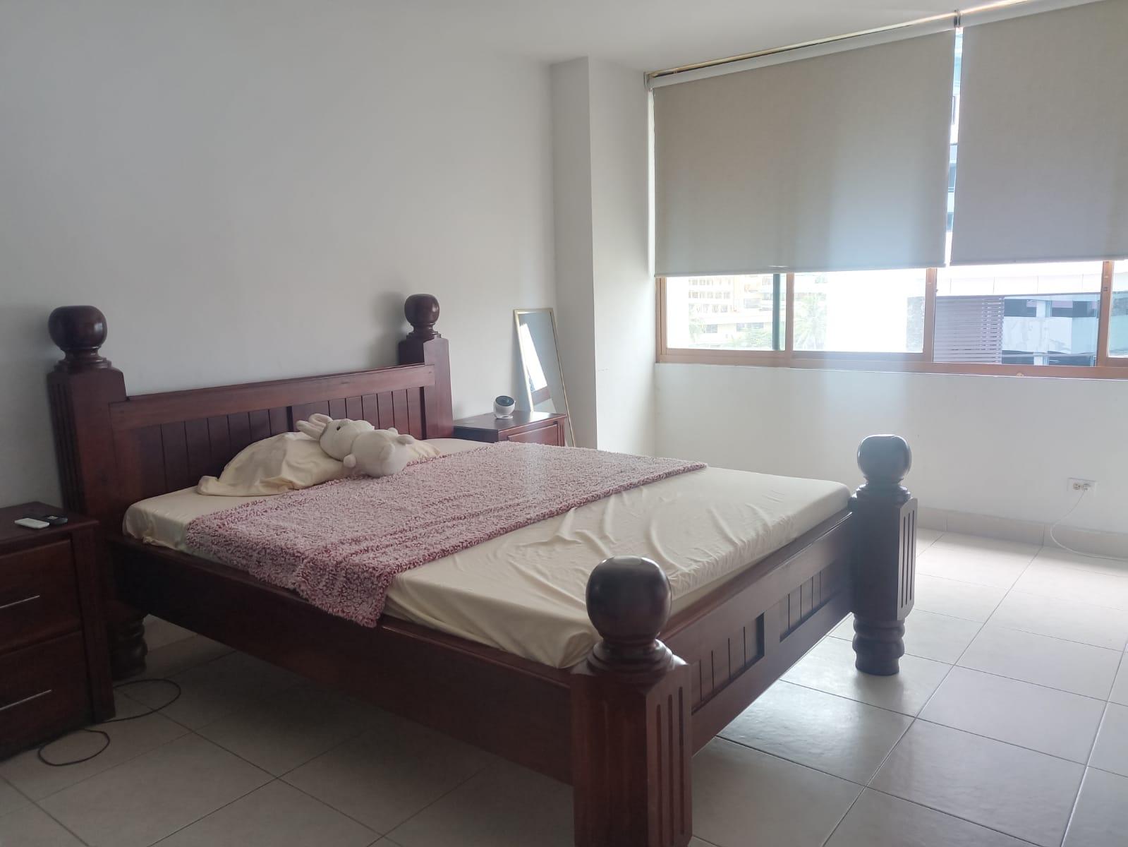 Gallery image 13