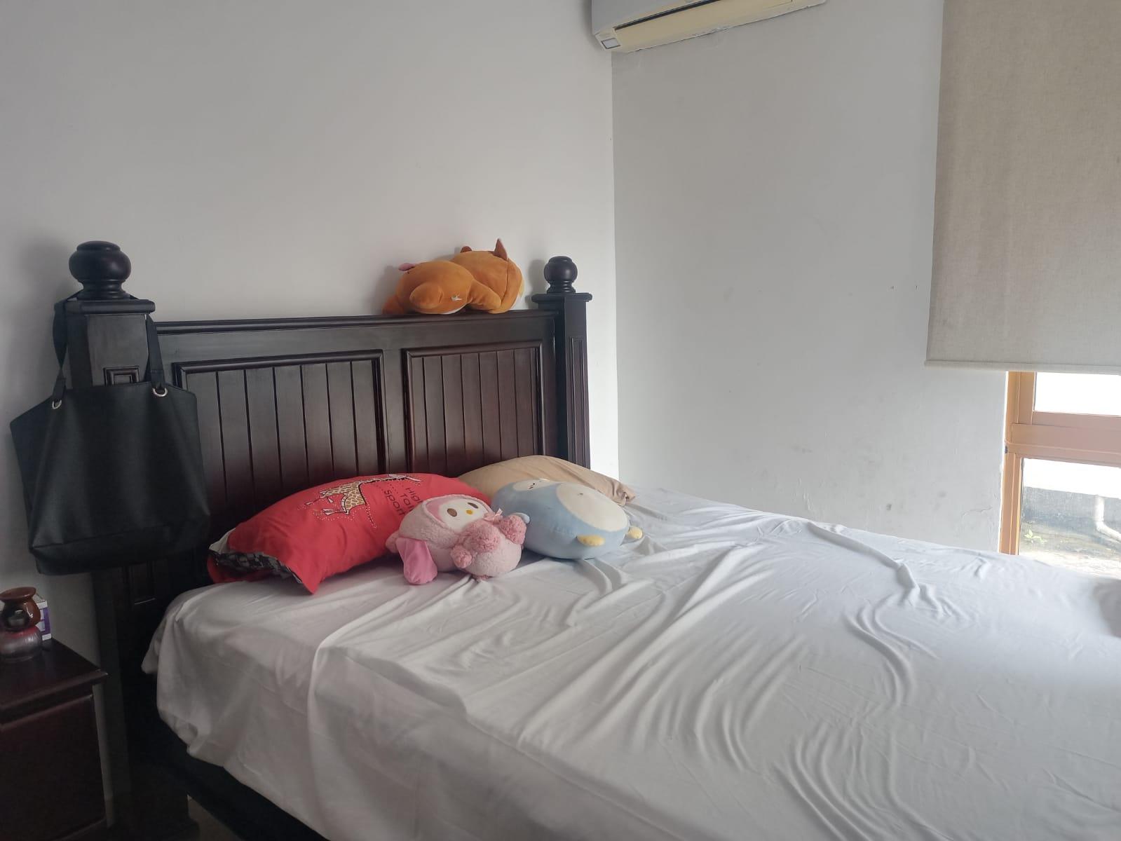 Gallery image 14