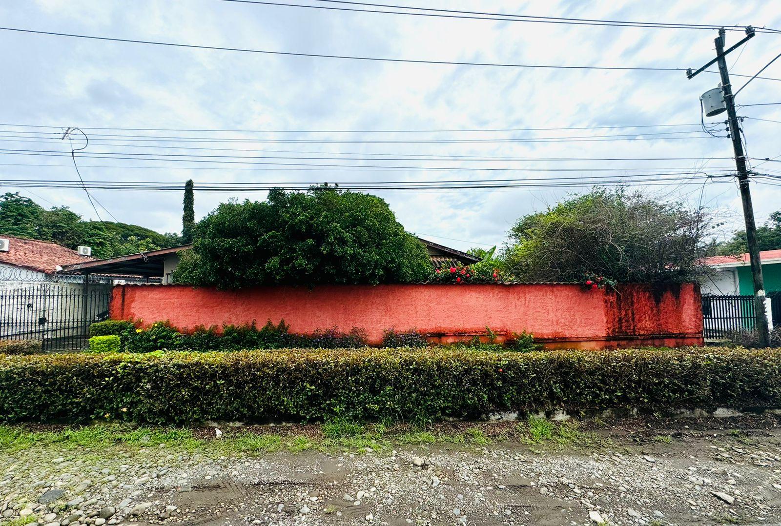 Gallery image 7