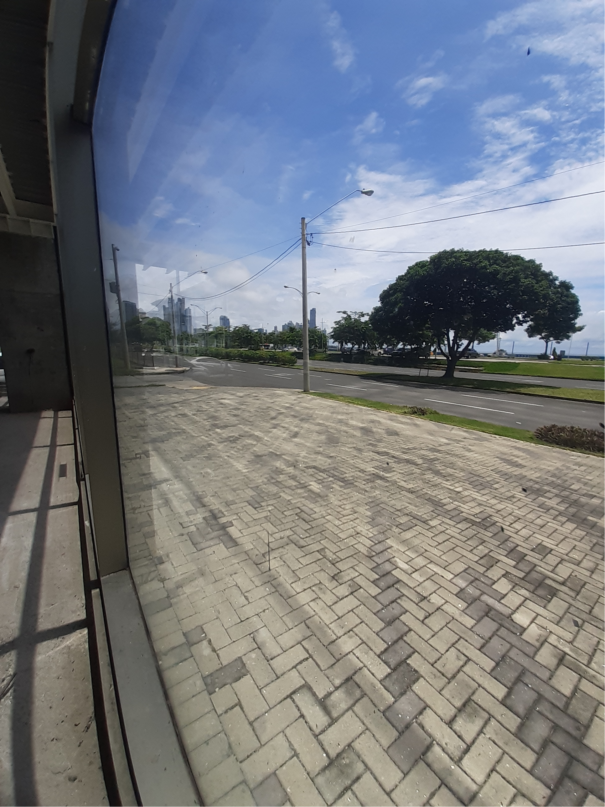 Gallery image 14