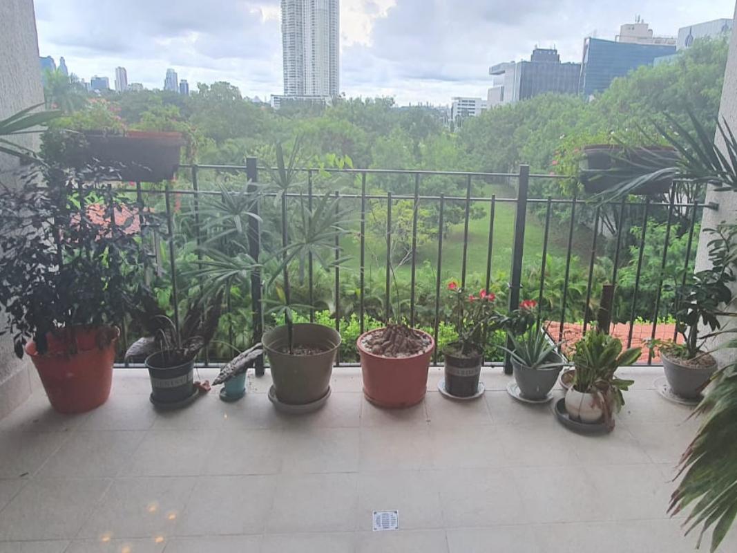 Gallery image 14