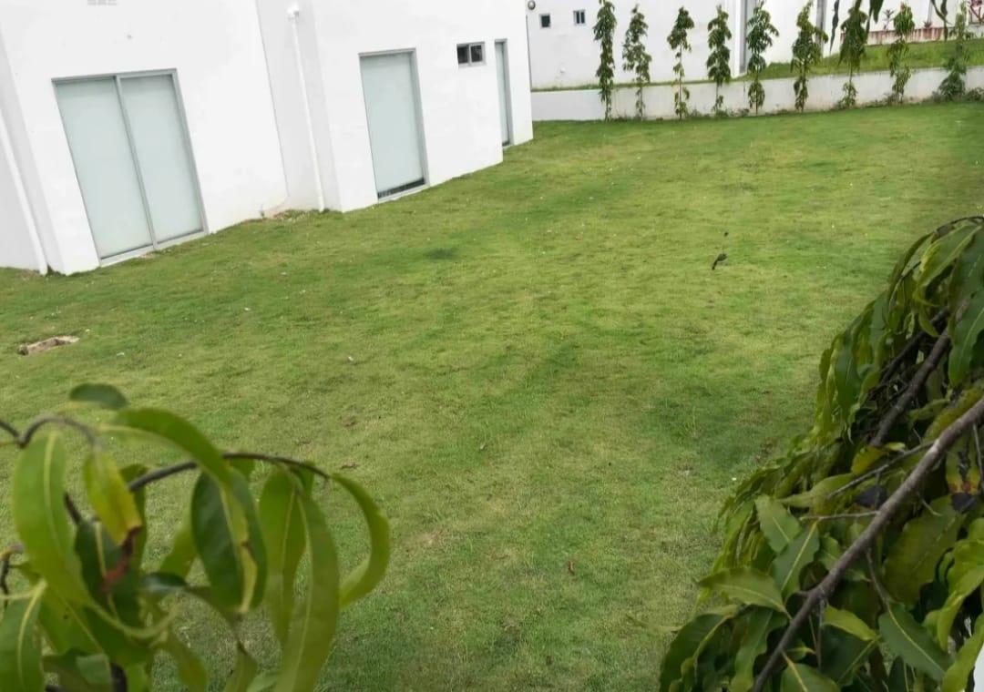 Gallery image 6